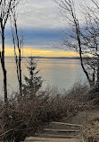 Discovery Park