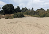 Discovery Park