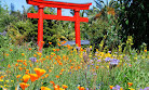 Torii Gate Garden