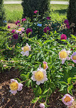 Mary Jo Wegner Arboretum and East Sioux Falls Historic Site