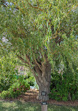 Mary Jo Wegner Arboretum and East Sioux Falls Historic Site