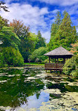 Japanese Garden