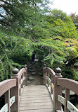 Japanese Garden