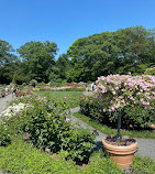 New York Botanical Garden