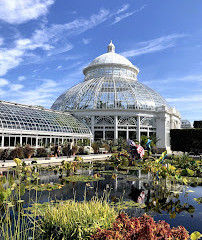 Botanische tuin van New York