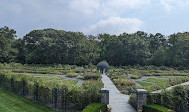 باغ گیاه شناسی نیویورک