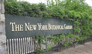 Giardino botanico di New York