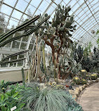 New York Botanical Garden