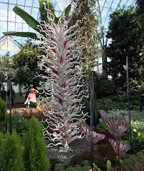 Botanische tuin van New York