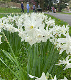 New York Botanical Garden