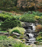 New Yorker Botanischer Garten