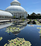 New York Botanical Garden