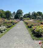 New York Botanical Garden