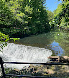 New York Botanical Garden