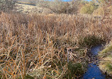 Rancho San Rafael Nature Trail