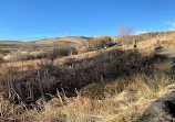 Rancho San Rafael Nature Trail