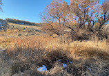 Rancho San Rafael Nature Trail