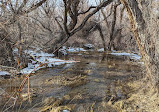 Rancho San Rafael Nature Trail