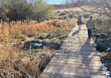 Rancho San Rafael Nature Trail