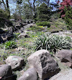 Rock Garden