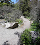 Rock Garden