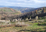 Beaver Dam Overlook