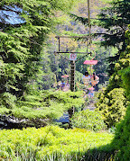 Gorge Scenic Chairlift