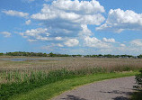 Belle Isle Marsh Reservation