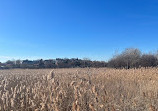 Belle Isle Marsh Reservation