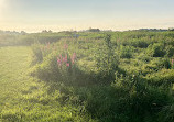 Belle Isle Marsh Reservation