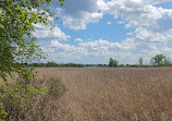 Belle Isle Marsh Reservation