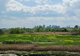 Belle Isle Marsh Reservation