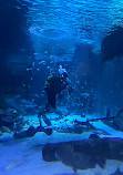 Antalya Aquarium