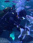 Antalya Aquarium