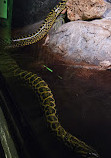 Antalya Aquarium