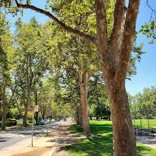 Curtis Park