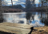 Shattuck Reservation