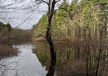 Noon Hill Reservation