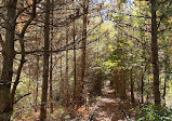 Medfield Rail Trail