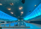 London Aquatics Centre