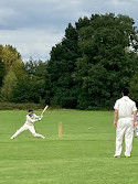 Hampstead Heath Extension Cricket Pitches