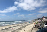 Torrey Pines State Beach