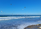 Torrey Pines State Beach