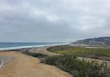 Torrey Pines State Beach