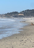 Torrey Pines State Beach