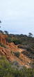 Torrey Pines State Beach