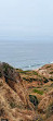 Torrey Pines State Beach