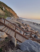 Torrey Pines State Beach