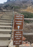 Torrey Pines State Beach