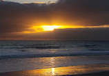 Torrey Pines State Beach